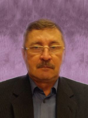 Новиков Сергей Дмитриевич Новиков Сергей Дмитриевич
